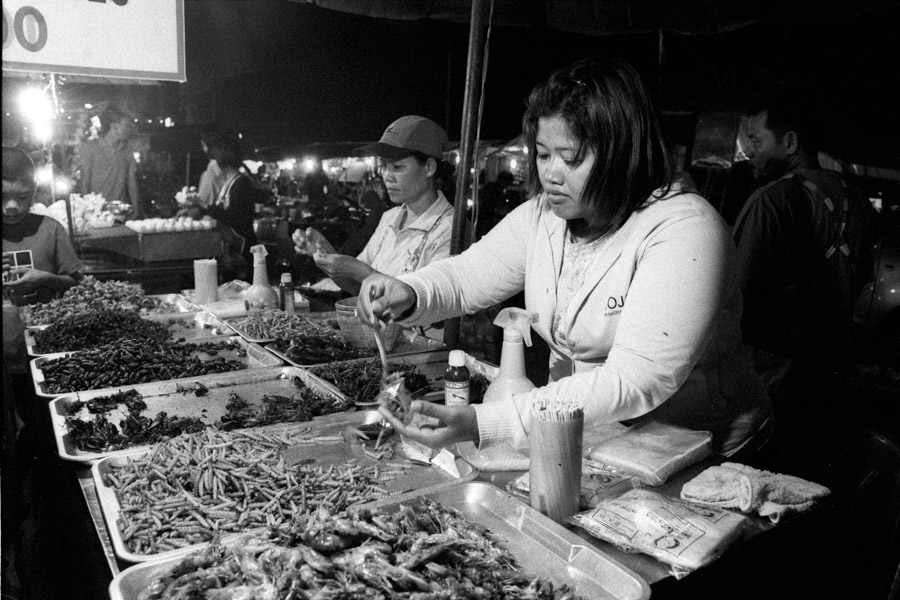 2010: Bugs for sale! Fried insects are a popular treat, usually sold only at special-holiday night markets held throughout the year.