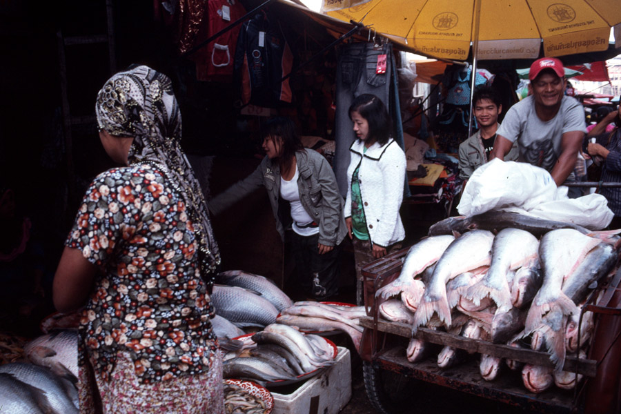 2010: Delivering fish in the wet market.