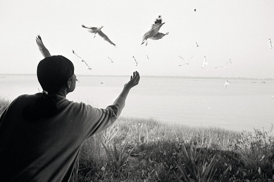 Mawlamyine 2011: feeding seagulls on the Thanlwin River.