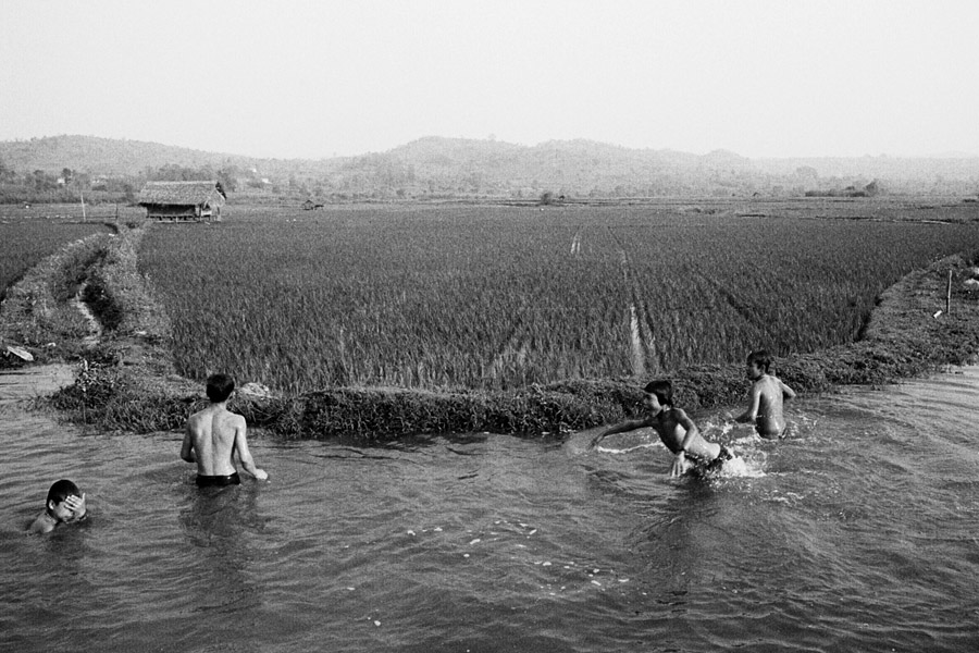 Kyaukme, Northern Shan State 2012: swimming in the rice paddies.