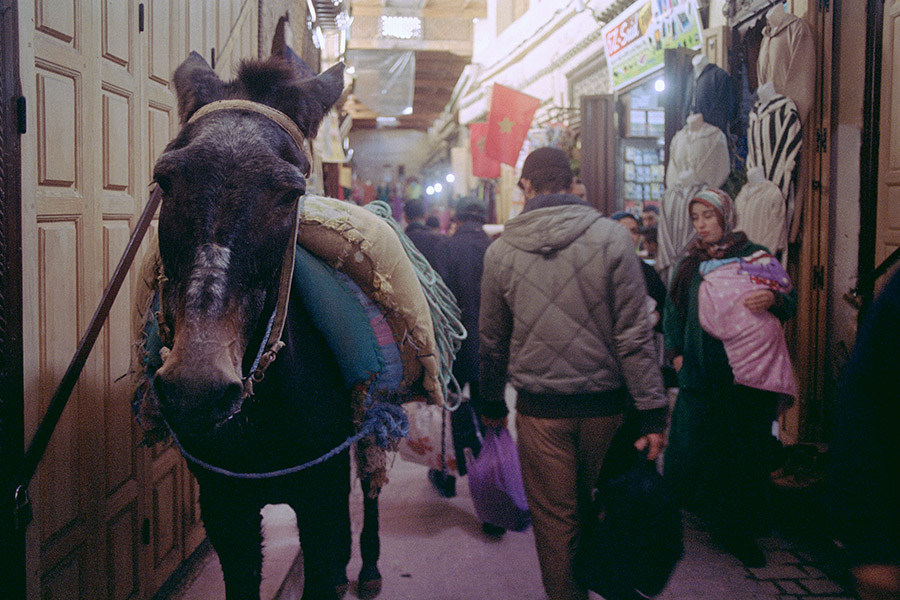Fes, Morocco 2016: in the medina.