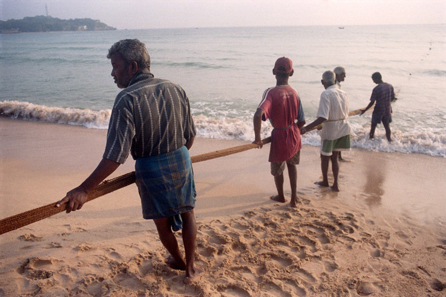 Trincomalee, Sri Lanka 2014: These guys were not professionals. They fished every morning together, and shared the results among all the families that helped. I wasn't sure if the fishermen that sell in the market have a different spot or just go further to the water, because the fish available in the market were much, much larger than what these men caught.
