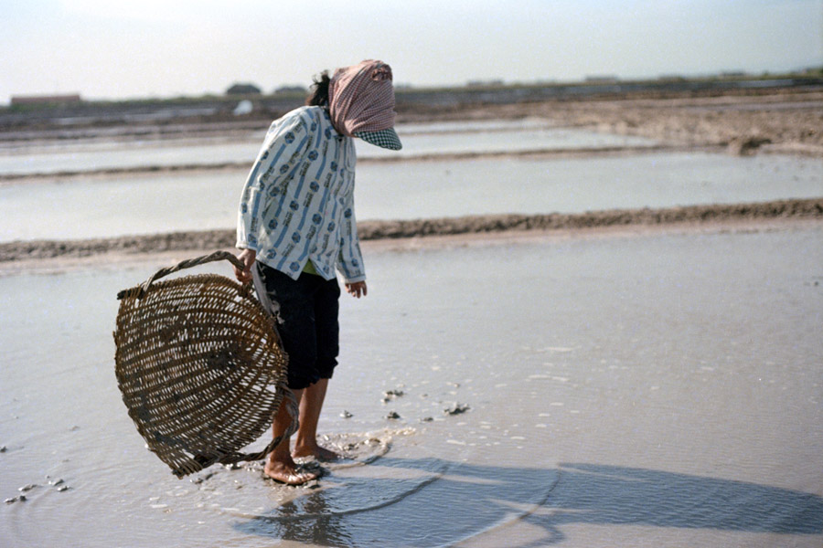 Kampot, Cambodia 2012: harvesting seasalt.